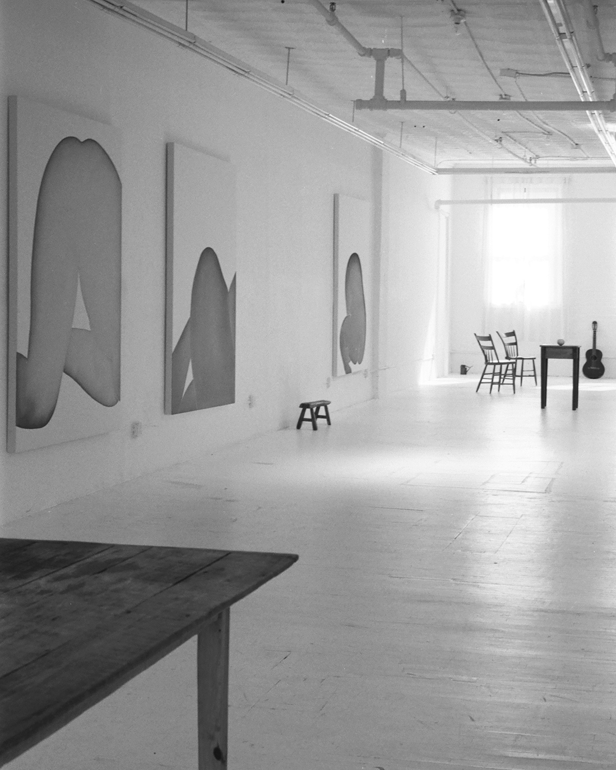 Studio photograph by Landon Metz