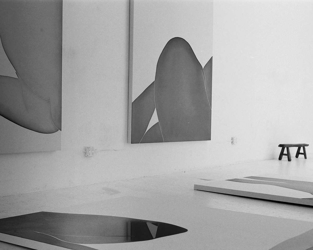 Studio photograph by Landon Metz